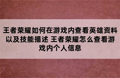 王者荣耀如何在游戏内查看英雄资料以及技能描述 王者荣耀怎么查看游戏内个人信息